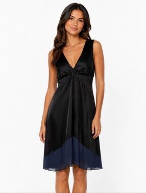 Sleeveless V-Neck Dress | S | Black & Navy